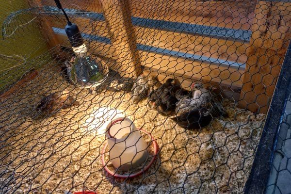 1ste Nieuwsbrief 2022