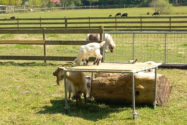 1ste Nieuwsbrief 2022