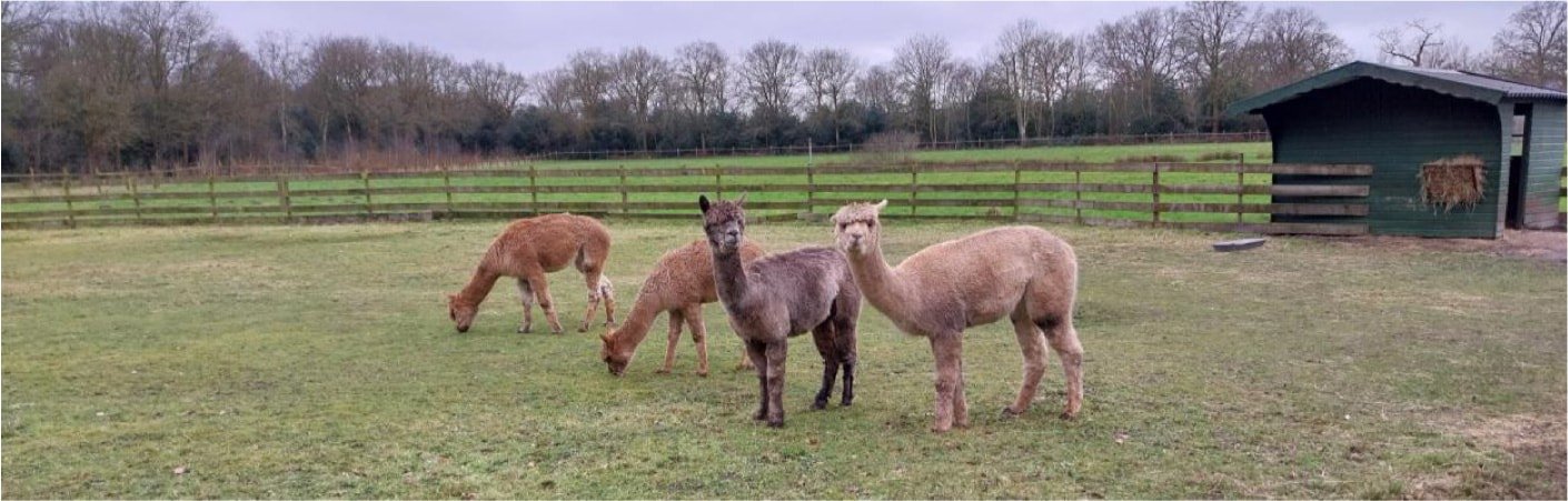 Nieuwsbrief februari 2025 Nieuwsbrief februari 2025