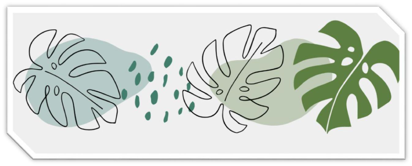 Nieuwsbrief februari 2025 Nieuwsbrief februari 2025