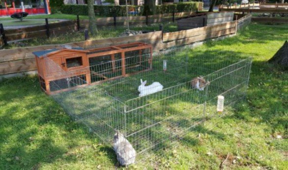 Nieuwsbrief september 2021 Nieuwsbrief september 2021