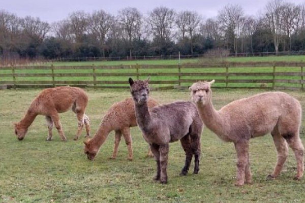 Nieuwsbrief februari 2025